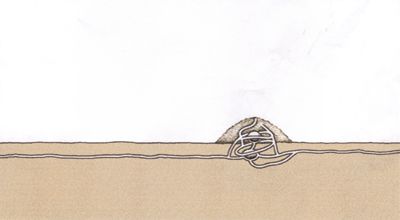 Operation 'Talpa europaea'